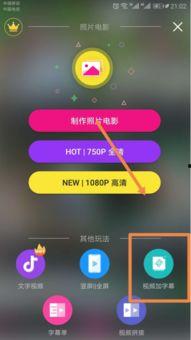 国产中文字幕手机视频